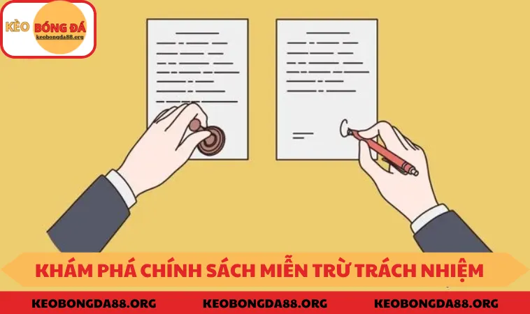 Chính sách miễn trừ trách nhiệm chi tiết 2025