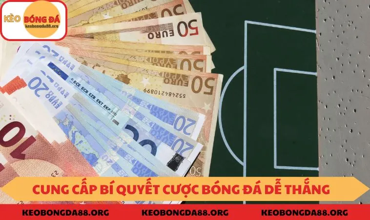 Cung cấp các bí quyết cược bóng đá dễ thắng 